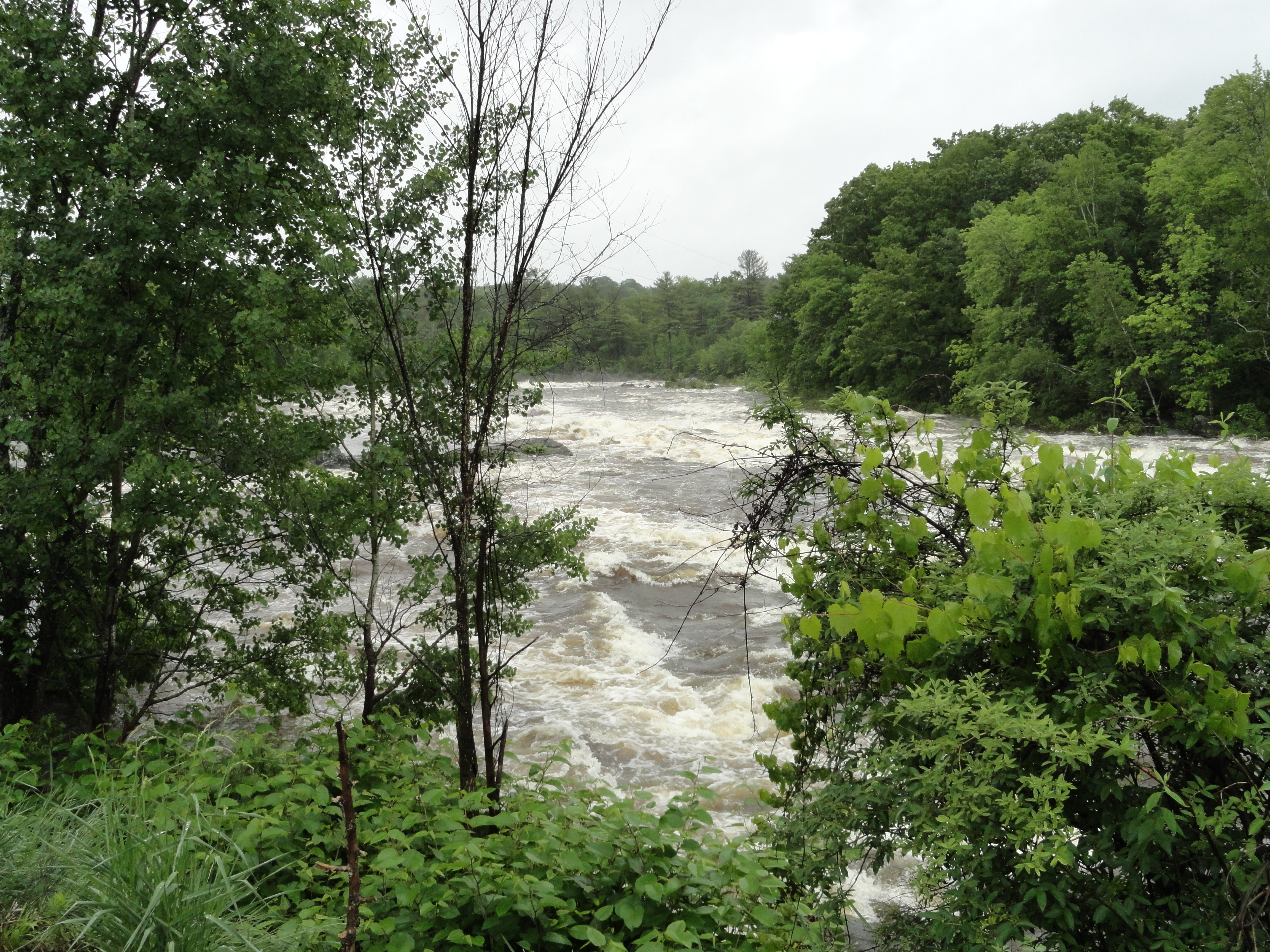 Spring Flooding Carrabassett River